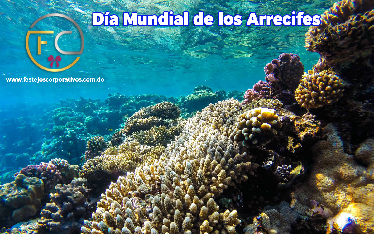Día Mundial de los Arrecifes